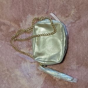 Victoria's Secret Sliver Purse